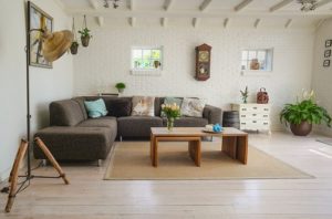 living-room couch