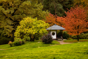 gazebo